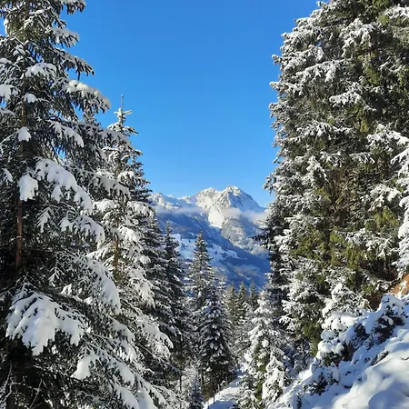 Alpenchalet Mitterlechner